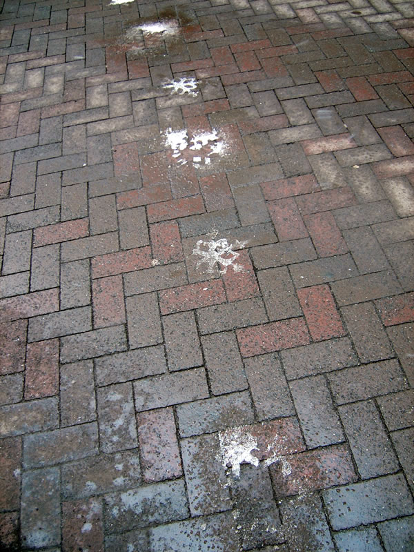 ロードヒーティングの為に雪は数十秒で消え去る。