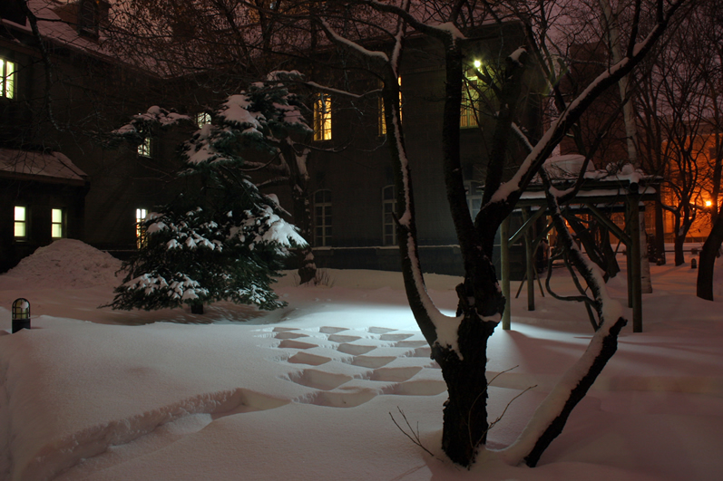 2010年SAPPORO II Project2010第2回アーティストによるもう一つの雪まつり札幌市資料館と周辺 / 札幌