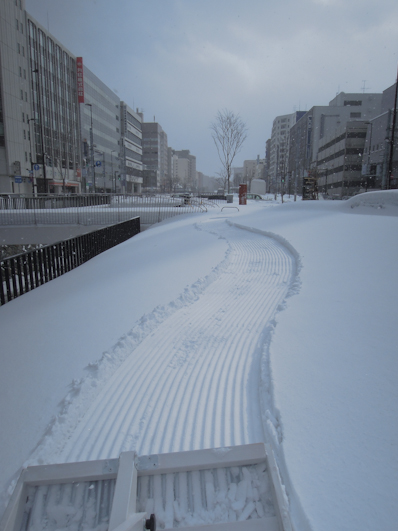 雪の作庭に枯山水の手法を加えるべく、新たな作庭道具を制作し使用した。