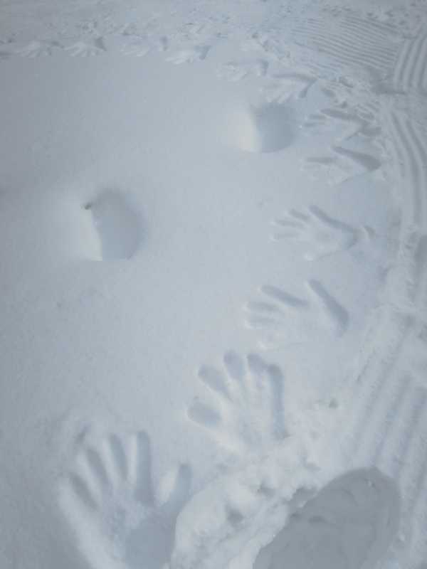 一夜明けると雪の枯山水は踏み荒らされていたが、子どもの手形が雪面に押されていた。新たな雪作庭家の存在を確認した。