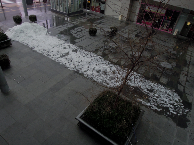 春先の雪庭は短命だ。夕方には雪は水に姿を変え、流れ出して行く。