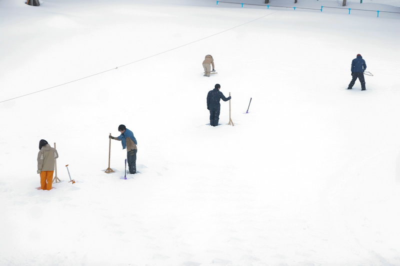 おとどけアートボランティアスタッフの力を借り、過去最大級の市松雪庭を校庭にて作庭した