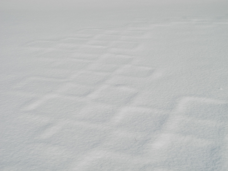 新雪に埋もれた市松の雪庭