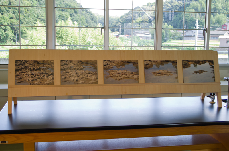 〈島と陸〉潮が引く様子を撮影した五枚の写真で構成255mm×380mm／枚